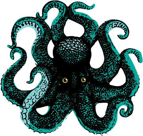 octopus-squid-tentacles-7294512