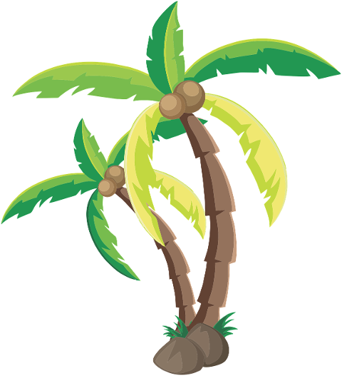 coconut-palm-tree-coconut-tree-tree-7751862
