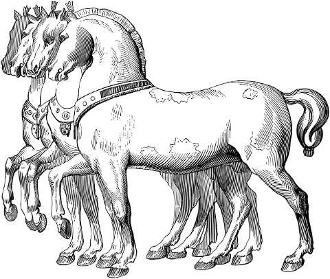 horses-animals-equine-line-art-7411113
