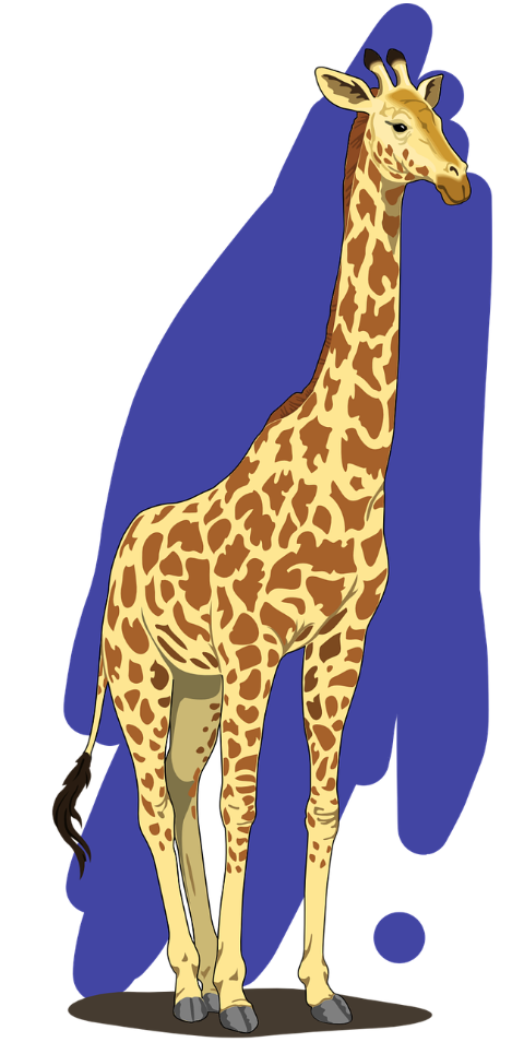 animal-cartoon-giraffe-wild-zoo-6942083