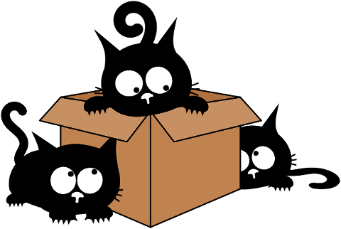 cats-kittens-felines-box-games-8609746