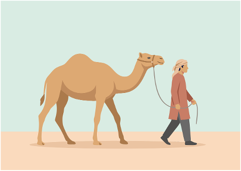 camel-desert-nomad-bedouin-walking-10311054