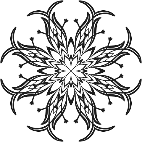 mandala-flowers-floral-line-art-6308098
