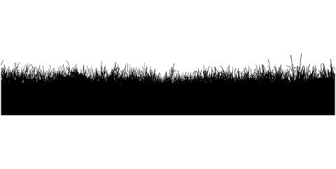 grass-meadow-silhouette-flora-7673457