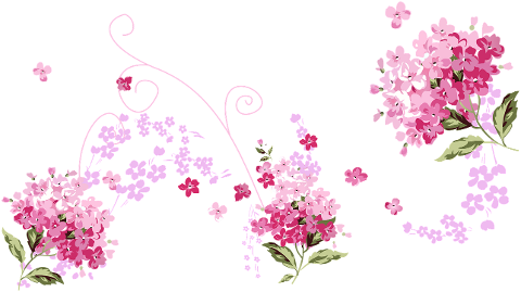 flowers-petals-bouquet-pink-floral-7719161