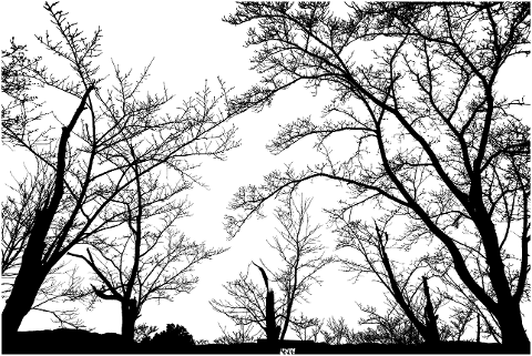 trees-landscape-silhouette-forest-4533863