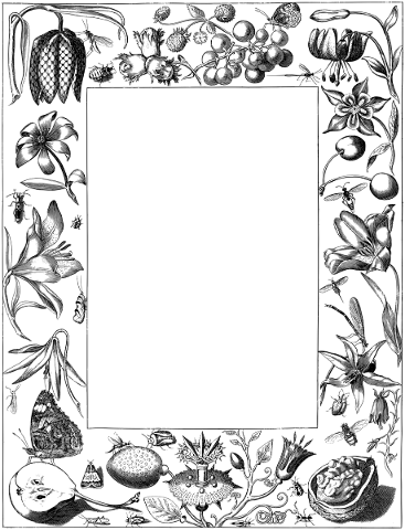 vintage-frame-line-art-antique-old-4763846