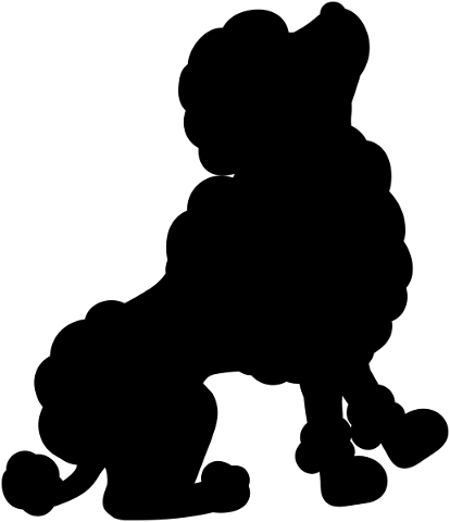 dog-puppy-poodle-silhouette-canine-5726403