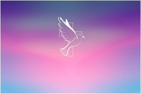 pentecost-dove-church-religion-5165844