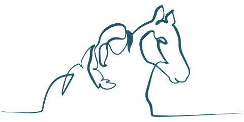 horse-woman-silhouette-girl-female-6552208