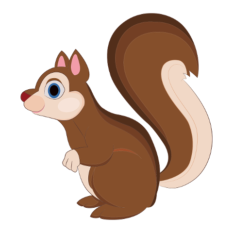squirrel-forest-animal-rodent-tree-4187961