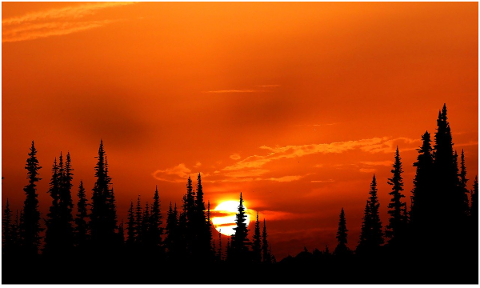 sunset-nature-orange-sky-forest-5019724