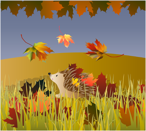 hedgehog-animal-autumn-fall-6678746