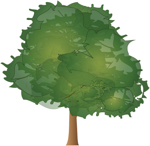 tree-wood-paper-leaves-plant-bush-4453171