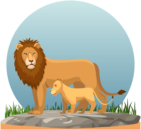 lion-lion-with-cub-cub-young-4554779