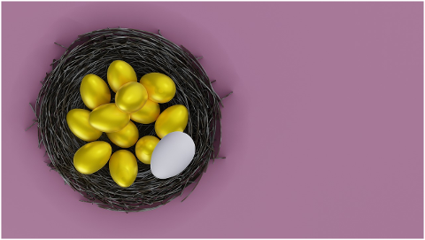 eggs-gold-eggs-nest-golden-eggs-6069830