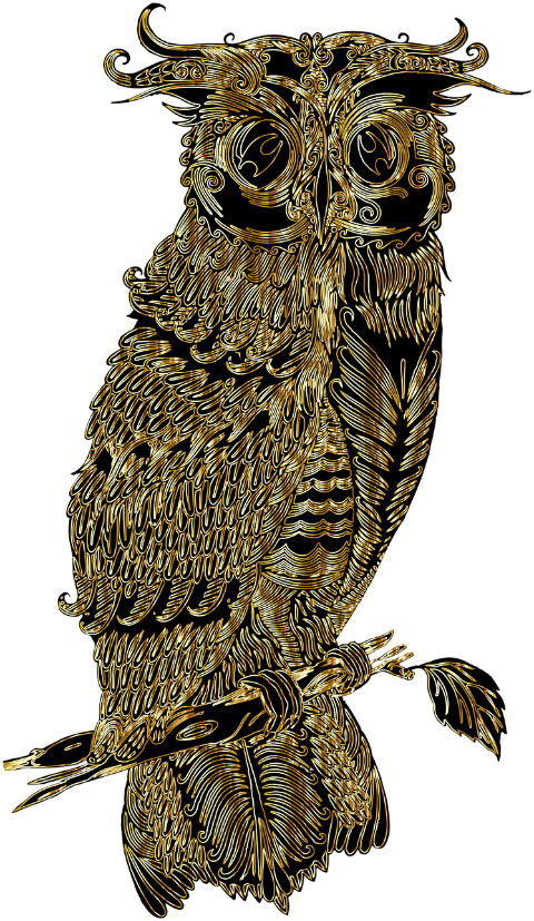 bird-owl-drawing-sketch-animal-6539429