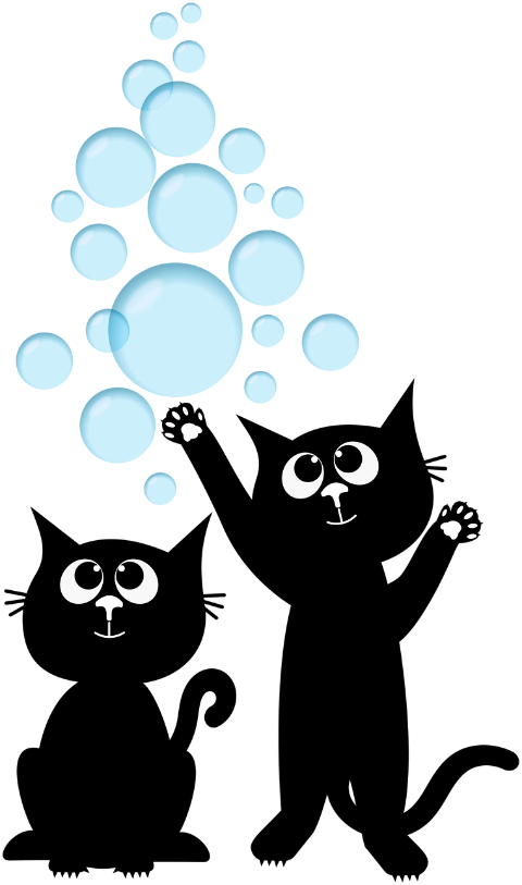 cat-kitten-black-cat-bubbles-8841019
