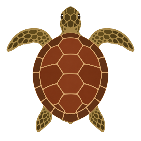 sea-turtle-reptile-shell-pattern-10368960