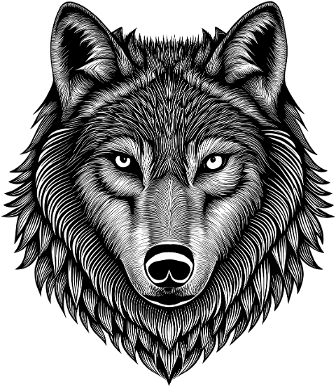 ai-generated-wolf-animal-predator-8889028