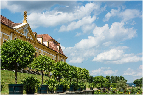 plants-garden-castle-wackerbarth-6112817