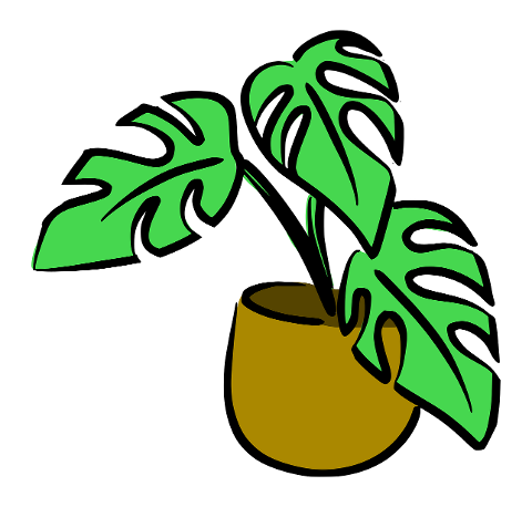 monstera-houseplant-plant-7455096