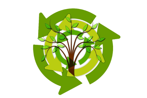 tree-leaves-arrows-sustainability-6205521
