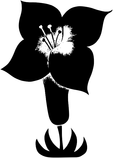 flower-plant-nature-silhouette-7881606