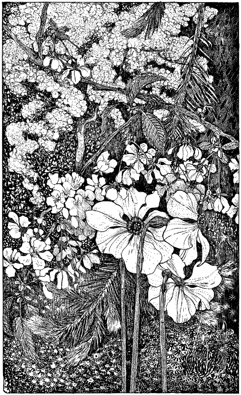 forest-flowers-floral-line-art-7492264