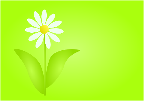 daisy-flower-background-nature-7144124