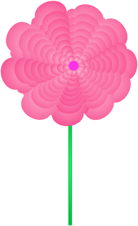 flower-petals-nature-design-9869677