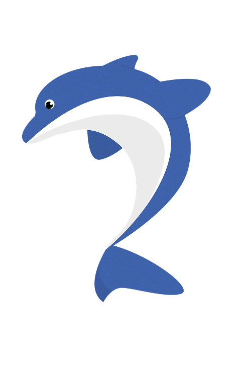 dolphin-ocean-animal-marine-life-8045833
