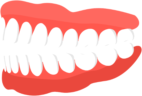 teeth-jaw-gums-tooth-bite-dental-8655800