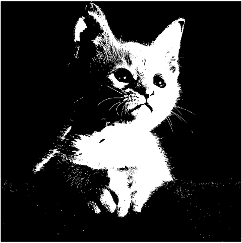 cat-pet-cute-cute-pet-cute-cat-7437559