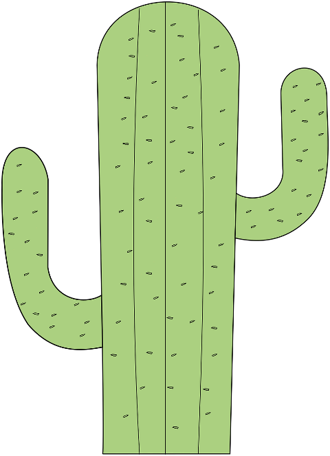 cactus-plant-succulent-green-6375940