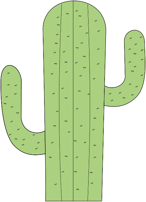 cactus-succulent-plant-spines-6375940