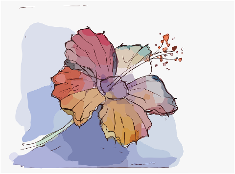 flower-hibiscus-art-watercolor-6968719