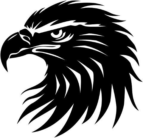 ai-generated-eagle-bird-wildlife-8495186