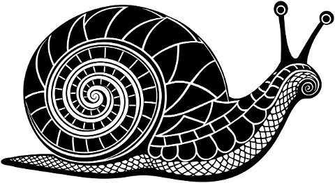 snail-animal-mollusk-nature-8940506