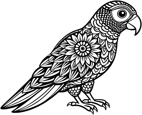 parrot-bird-animal-ornithology-8846866