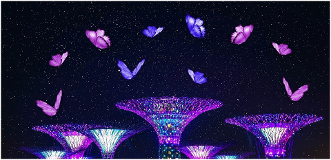 fantasy-flowers-butterflies-night-6305418