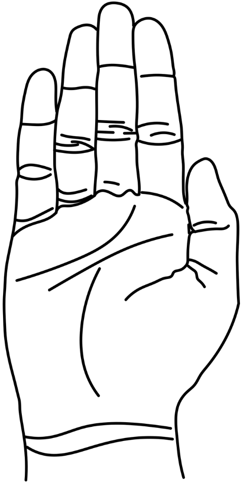 hand-palm-abhayamudra-mudra-6951445
