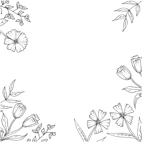 flower-nature-wallpaper-frame-6937265