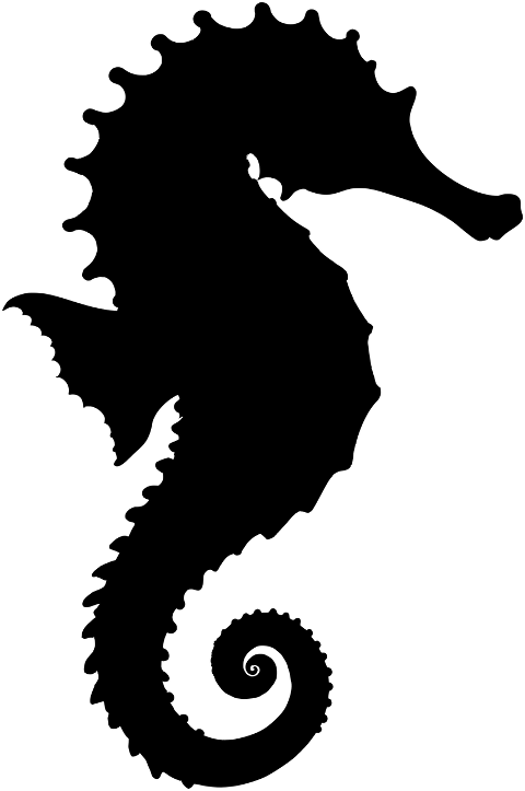 seahorse-animal-silhouette-aquatic-9574644