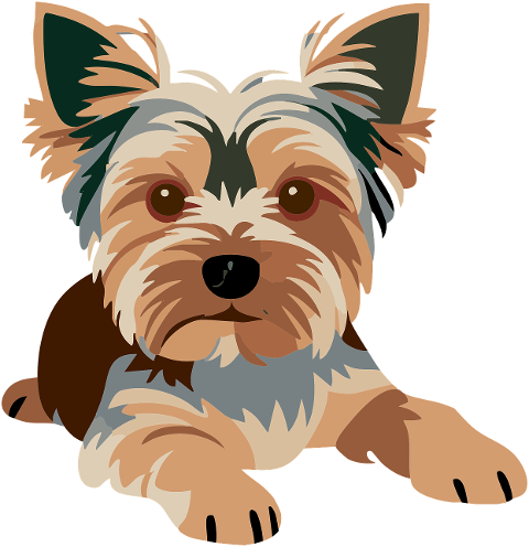 dog-animal-cute-yorkies-puppy-9984910