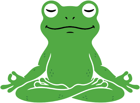 frog-meditation-yoga-lotus-pose-9902776