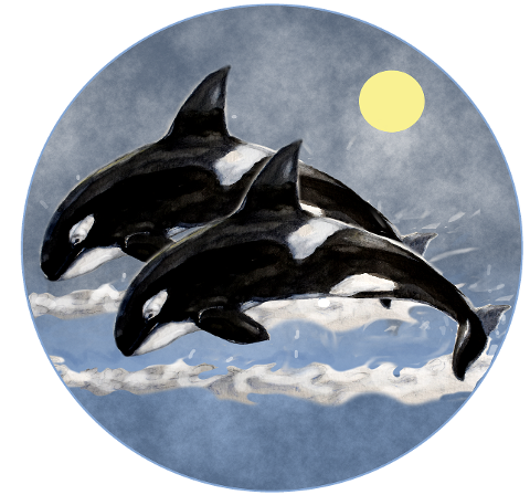 whales-sea-logo-moon-orca-6066521