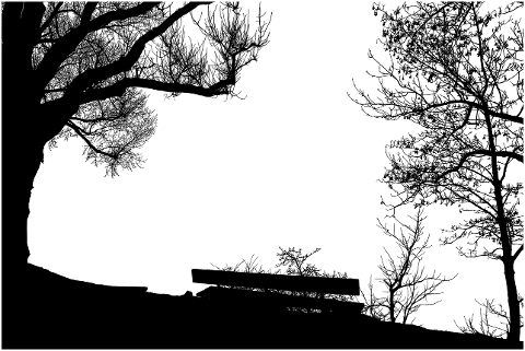 lake-chiemsee-trees-silhouette-7900327