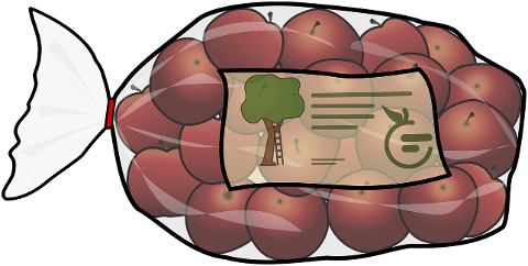 apple-apple-bag-bag-fruit-food-9755805