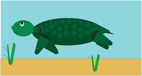 sea-turtle-reptile-cartoon-drawing-7322820